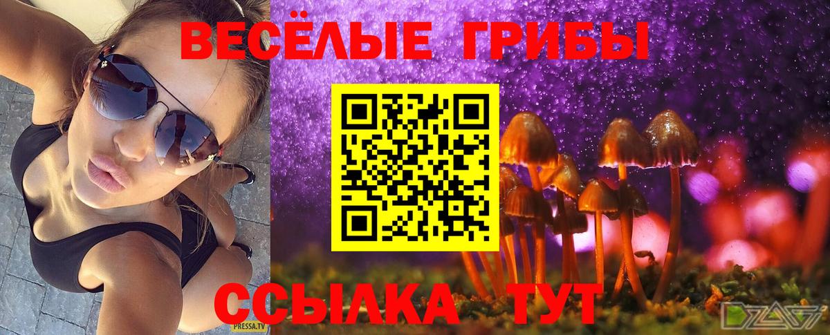 Псилоцибиновые грибы Psilocybe Артём