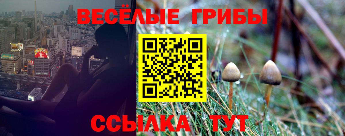 купить наркотики сайты  Псилоцибиновые грибы прущие грибы  Вход с VPN  Артём 